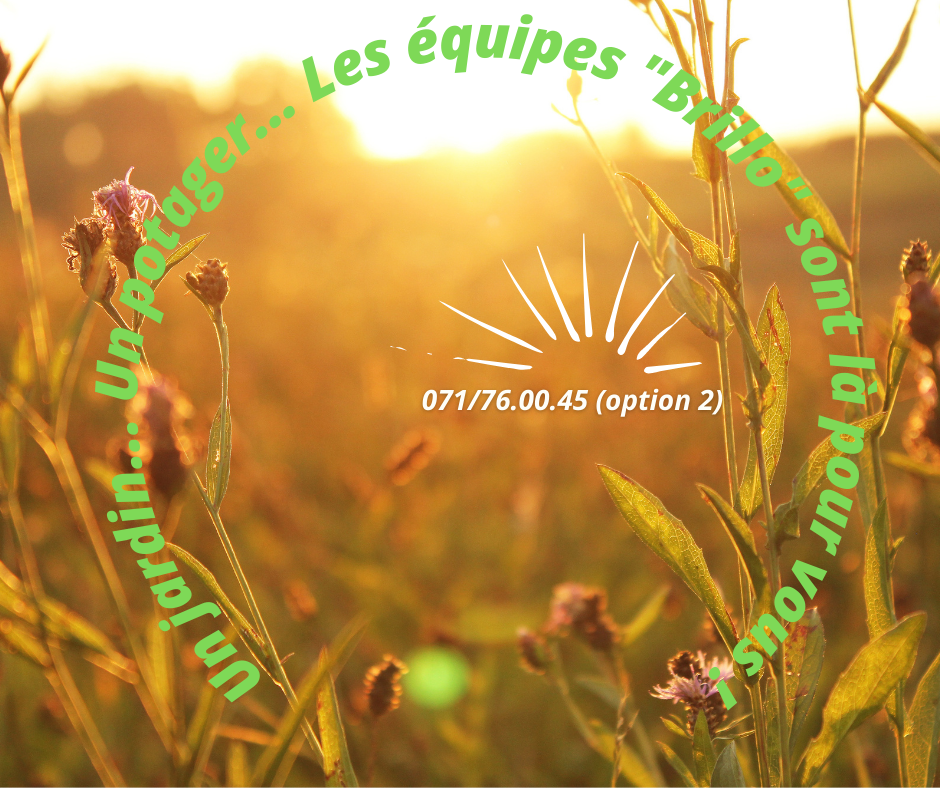 Jaune Orange Photo Bonjour Motivation Post Facebook1